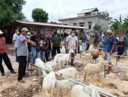 Ini Inovasi BUMDes Barokah Sejahtera Ciptakan Pusat Perputaran dan Kebangkitan Ekonomi