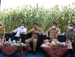 Lamongan Ingin Miliki Industri Olahan Sorgum