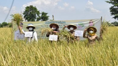 Lamongan Siap Perkuat Ketahanan Pangan