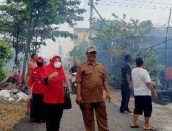 Minimalisir Demam Berdarah, DPC PDI Perjuangan Lamongan Gelar Fogging