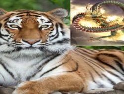 Praktisi Spiritual Lamongan Sesalkan Cungkup Makam Nyai Andong Sari Dibongkar