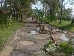 Jalan Rusak Parah di Kawasan Penghasil Migas Senori, Bupati Tuban : Sudah Dianggarkan 10 Milyar