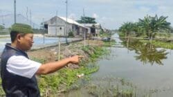 Hari Desa Nasional, Kades Madep Mantep Bisa Wujudkan Kesejahteraan Masyarakat Desa Karanganom