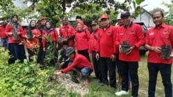 HUT ke-52, DPC PDI Perjuangan Lamongan Tanam Pohon dan Tabur Benih Ikan di Sendang Sreto