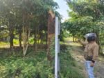 Gugatan Mantan Kades Jubel Kidul Kandas di Pengadilan Tinggi, Sertifikat Istri Kalah Lawan Bukti Tua Rusmi