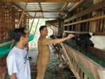 Dua Desa di Lamongan Kompak Gerakkan Ketahanan Pangan, Fokus di Peternakan dan Pertanian
