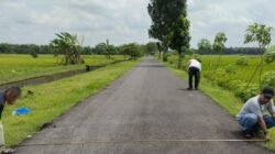 Dugaan Korupsi di Balik Karpet Hitam Hotmix: Kades Bakung Dilaporkan Terkait Proyek BKKD Rp828,4 Juta