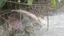 Tanpa IPAL dan Izin Menyimpang, DLH Lamongan Beri Teguran Keras ke CV Jioen Fishery
