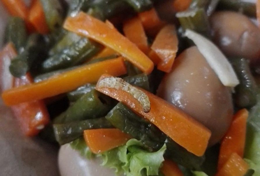 Ulat merayap di makanan salah satu menu MBG yang diduga didistribusikan oleh SPPG Lopang 2 Kembangbahu Lamongan, Kamis (20/8/2026), Foto : Screenshot for Nowtooline)