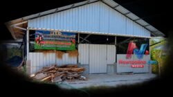Program Penggemukan Sapi Rp283 Juta di Wanar Lamongan Disorot Warga