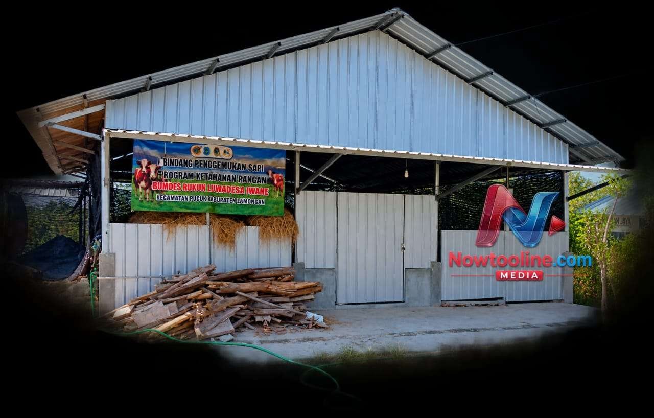 Kondisi kosongnya kandang sapi di Desa Wanar, Kecamatan Pucuk, Lamongan yang dikelola BUMDes Rukun Jaya desa setempat, (Foto : Mukhammad Arianda Bakhtiar/Nowtooline)