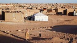 Skandal Infravest Sorot Tata Kelola Bantuan di Kamp Tindouf