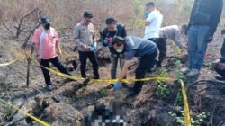 Cari Pakan Kambing, Warga Lamongan Temukan Kerangka Manusia